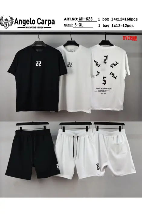 ENSEMBLE ÉTÉ T-SHIRT ET SHORT SIMPLE HOMME MOTIF DEVANT ET DERRIERE